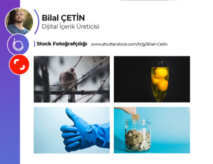 Portfolyo Örnek Çalışma