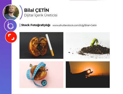 Portfolyo Örnek Çalışma